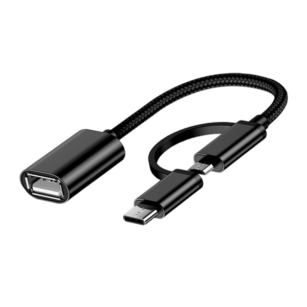2in 1 otg cable